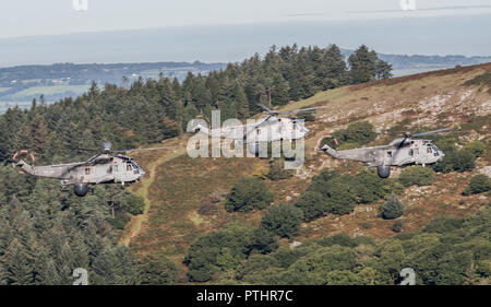 FINAL FLIGHT OF THE ROYAL NAVY Sea King Sea King Mk7 helicopters Stock Photo