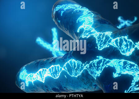 3D illustration X-Chromosomes with DNA carrying the genetic code. Genetics concept, medicine concept. Future, genetic mutations. Changing the genetic code at the biological level. Stock Photo