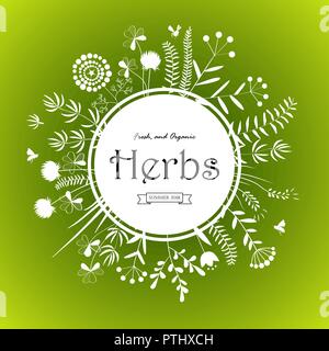 Herbs card design. Happy Spring or Summer green background and text in square floral frame, vector illustration. Stock Vector