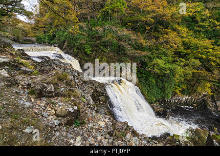 Rhaeadr Mawddach waterfall on thr Afon (River) Mawddach  in the Coed y Brenin Forest near Dolgellau Snowdonia National Park North Wales UK October 264 Stock Photo
