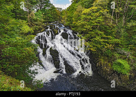 Swallow Falls on Afon (River) Llugwy west of Betws-y-coed Snowdonia National Park North Wales UK September 0919 Stock Photo