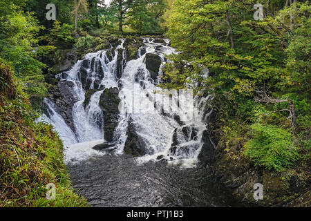 Swallow Falls on Afon (River) Llugwy west of Betws-y-coed Snowdonia National Park North Wales UK September 1010 Stock Photo