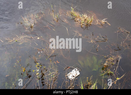 Empty take away container drifting in the River Nith at the Whitesands, in the town centre of Dumfries, Scotland. Stock Photo