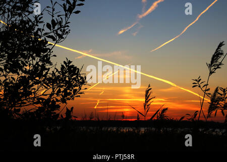 Beautiful sunset on the lake, surrounded by vegetation, sky background with traces of the aircraft. Stock Photo