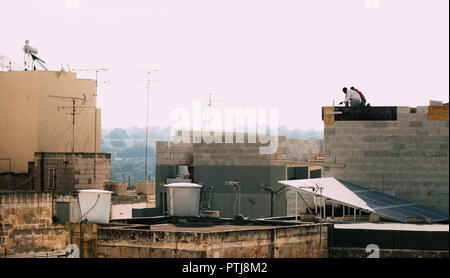 Two african workers fixing rooftop in malta at sunset Stock Photo