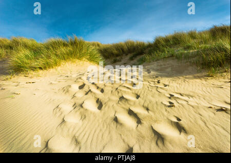 SAND DUNES, Burnham Overy Staithe beach, North Norfolk, UK. January ...