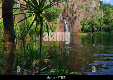 Wangi Falls, Litchfield National Park, Northern Territory, Australia Stock Photo