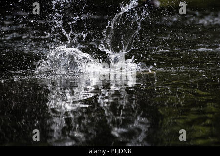 Water Splash Stock Photo