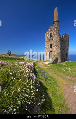 The ruins of Wheal Owles engine house near Botallack on the west Cornwall coast. Stock Photo