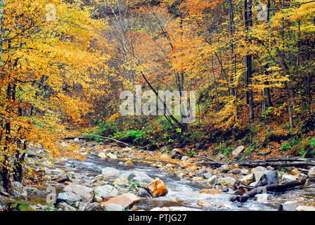View from a covered bridge in Vermont.  Beautiful Autumn colors surrounding a boulder filled stream. Stock Photo