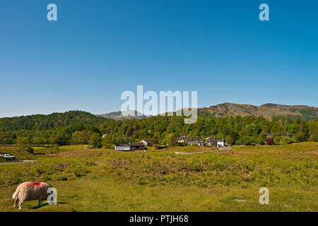 Elterwater village and the Langdales in summer. Stock Photo