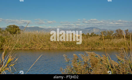 Guadalhorce river banks with reed and shrubs with mountain range in the background on a sunny day with clear blue sky Stock Photo