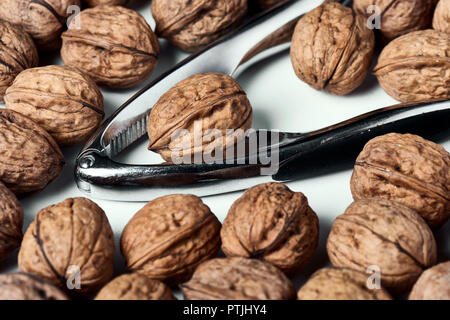 Walnuts in shell group on a white table with a metal nutcracker. Stock Photo