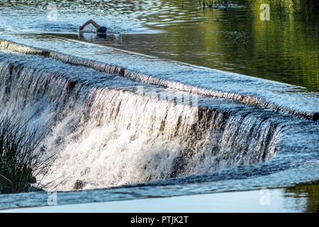 Wild swimmer Jens Roesner takes a pre-work wild swim in the river Avon at Warleigh Weir in Somerset. Stock Photo