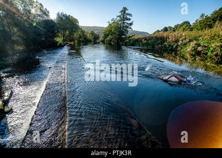 Wild swimmer Jens Roesner takes a pre-work wild swim in the river Avon at Warleigh Weir in Somerset. Stock Photo