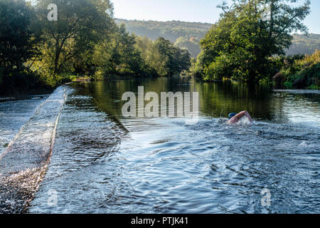 Wild swimmer Jens Roesner takes a pre-work wild swim in the river Avon at Warleigh Weir in Somerset. Stock Photo