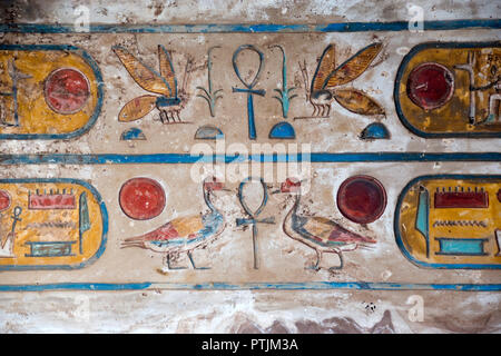 Colorfully painted bas-relief hieroglyphs include depictions of beetles, ducks and the sun at Karnak Temple, Luxor, Egypt. Stock Photo