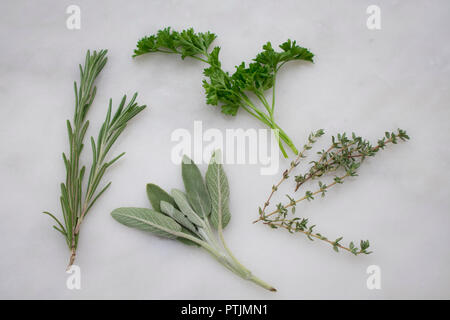 Fresh Herbs on a Marble Background Stock Photo
