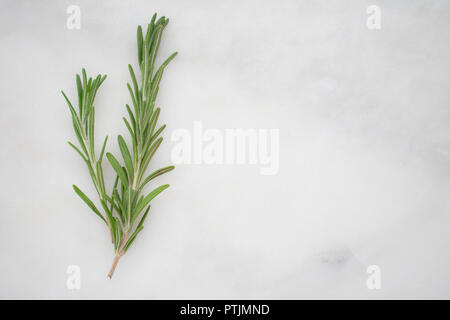 Rosemary Sprigs on a Marble Background Stock Photo
