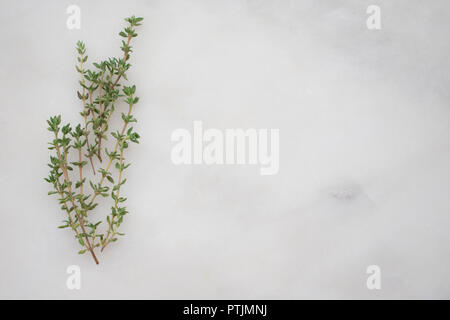 Thyme Sprigs on a Marble Background Stock Photo