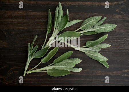 Sage Sprigs on a Dark Wood Background Stock Photo