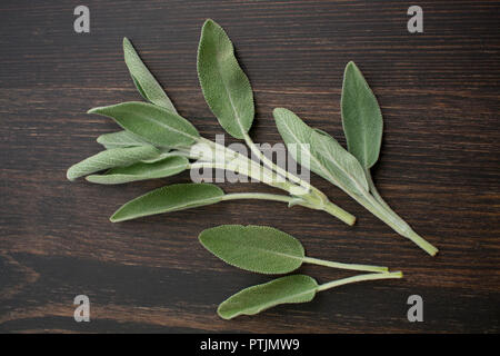 Sage Sprigs on a Dark Wood Background Stock Photo