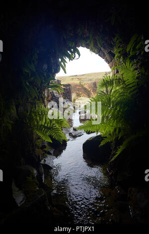 Remains of the Bunting mine water drainage shaft, part of the once thriving lead mining industry, upper Gunnerside Gill, Yorkshire Dales, UK Stock Photo