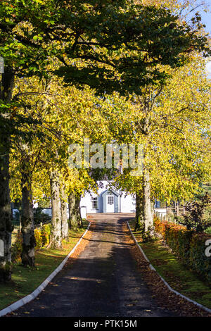 Long lane lined with leaves and trees in autumn colours leading to a white washed house Stock Photo