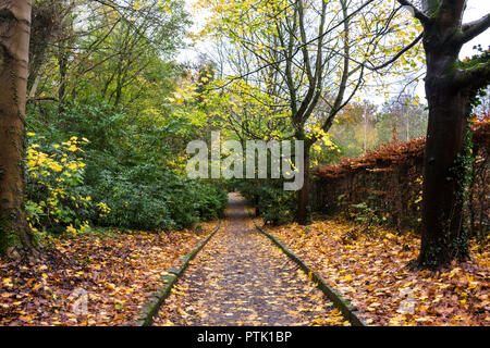 Fallen leaves over a parkland path with trees and hedges in autumn colours, Stock Photo