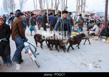 Kashgar, Xinjiang, China : A Uyghur man guides a small flock of sheep through Mal Bazaar, the grand Sunday Livestock Market of Kashgar. Stock Photo