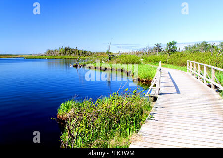 Western Brook Pond and Gros Morne National Park, Newfoundland Canada, boardwalk and pathway Stock Photo