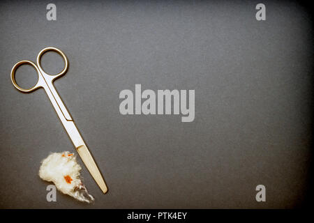 Scissors along cotton blood stained isolated on black background, conceptual image Stock Photo