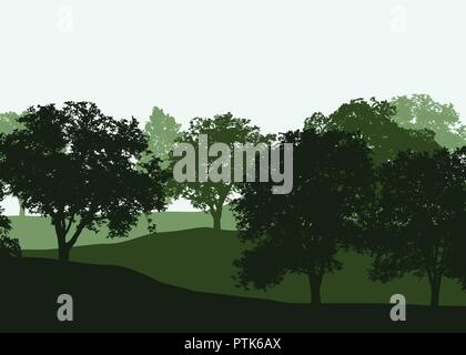 A row of deciduous trees in a green forest in three layers under a bright sky - vector Stock Vector