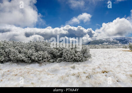 First snow at Karkonosze (Giants Mountains) mountain range. Poland, Lower Silesian province. Stock Photo