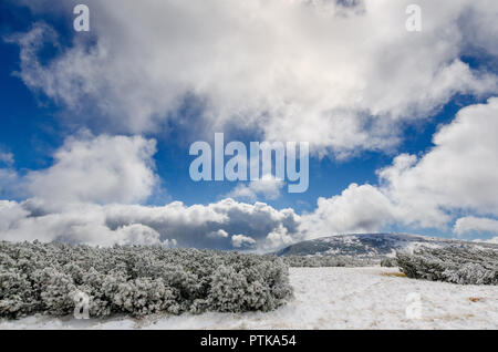 First snow at Karkonosze (Giants Mountains) mountain range. Poland, Lower Silesian province. Stock Photo