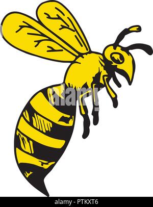 Drawing sketch style illustration of a yellowjacket wasp or hornet flying side view on white background. Stock Vector