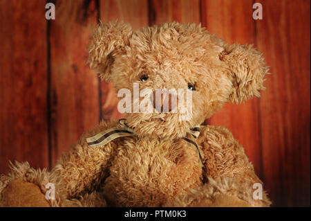 Teddy bear with brown plaid bow, Austria Stock Photo