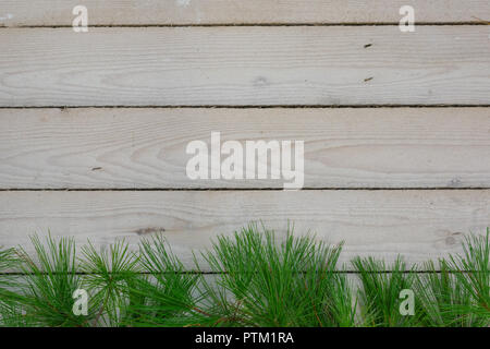 A horizontal background of whitewashed rough-hewn boards with white pine boughs along the bottom Stock Photo
