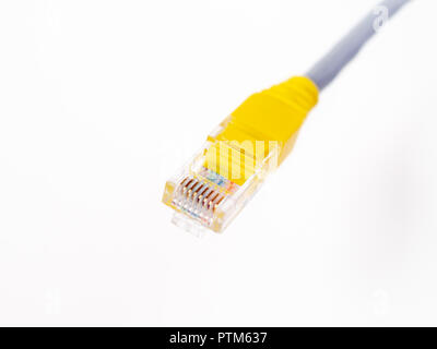 Close-p yellow and gray ethernet cable isolated on white background. Stock Photo