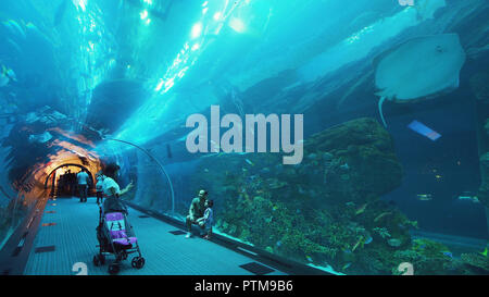 People admire the marine life in the glass tunnel of the Aquarium in Dubai Mall Stock Photo