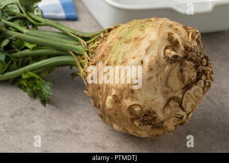 Fresh raw organic celery root and leaves closeup Stock Photo