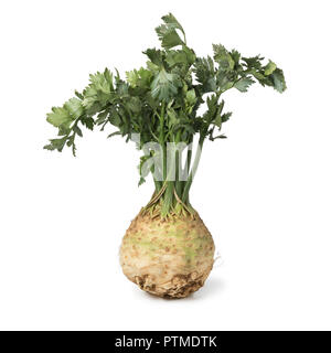 Fresh raw organic celery root and leaves isolated on white background Stock Photo