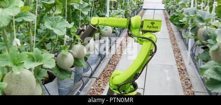 smart robotic in agriculture futuristic concept, robot farmers (automation) must be programmed to work to spray chemical,fertilizer or increase effici Stock Photo