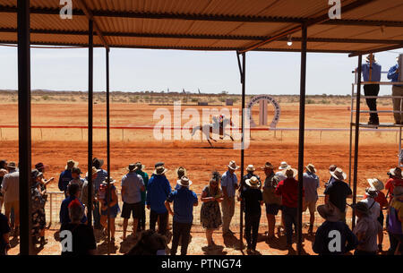 The horse outlet watches australia