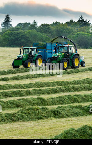 2 tractors working in farm field,1 tractor towing forage harvester & 1 collecting cut grass for silage in trailer - Yorkshire evening, England, GB, UK Stock Photo