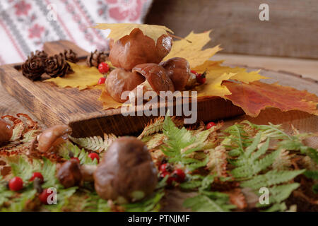 Autumn still life with mushrooms and leaves. Rustic. Stock Photo