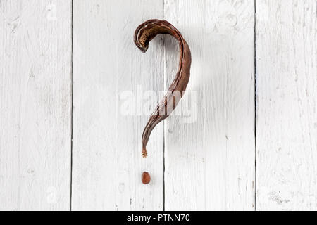 Carob Pod with Question Mark Shape on White Wood Stock Photo