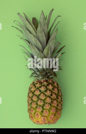 A whole, fresh pineapple with coarse, patterned skin and healthy leaves on a green background. Stock Photo