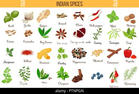 Antioxidant food, herbs and spices. healthy lifestyle. Super food anthocyanins, vector illustration Stock Vector