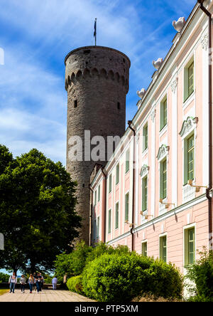 Pikk Hermann Tower at Toompea Castle in Tallin capital of Estonia Stock Photo